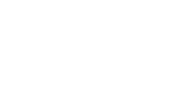 Icon Chicago